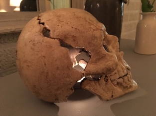 Large Anatomical Skull - Cast Iron - White-Rust